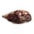Paleta Ibérico Bellota 100%, Deshuesada, Juan Pedro Domecq-izquierda