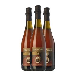 Paltrinieri Sant'Agata Lambrusco Lambrusco di Sorbara 75 cl Vino Tinto (Caja de 3 unidades)