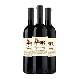 Papari Valley 3 Qvevri Terraces Saperavi Kakheti Organic — Ecológico 75 cl Vino Tinto (Caja de 3 unidades)
