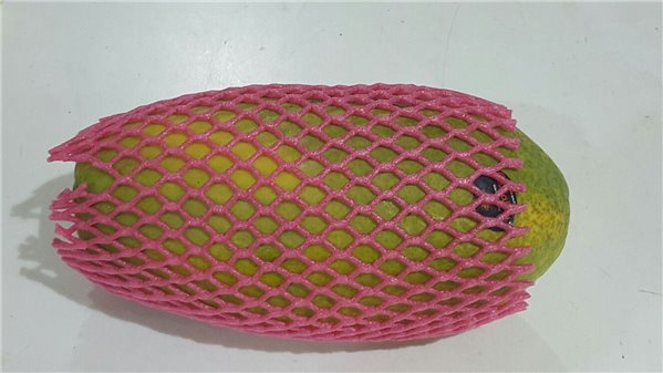 Canarian papaya fixed-lateral