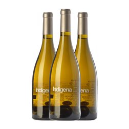 Parés Baltà Indígena Garnacha Penedès Eco — Ecológico 75 cl Vino Blanco (Caja de 3 unidades)