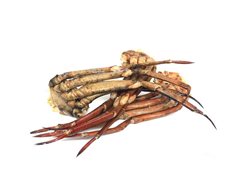 Patas o Cuerpos de Cangrejo Cocidos 500