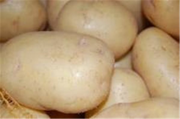 KARTOFFEL WEISS GESPÜLT-detalle