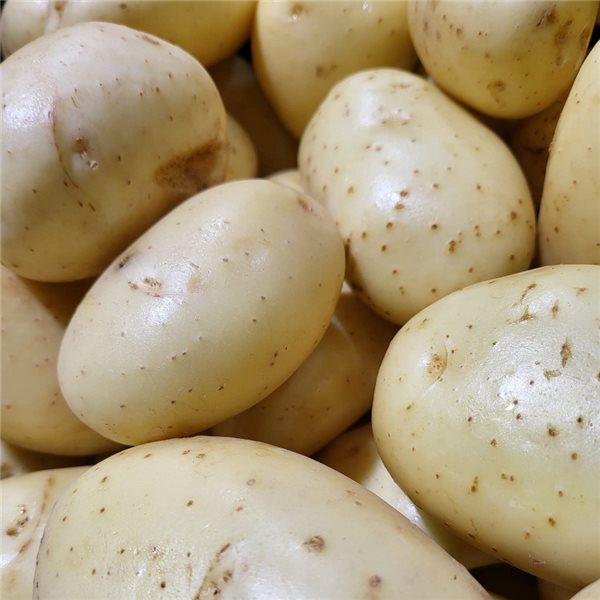Fried potato-detalle
