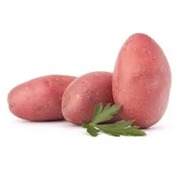 ROTE KARTOFFEL-detalle