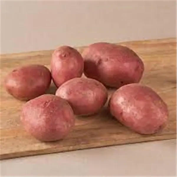 ROTE KARTOFFEL