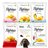 Patatas Fritas Gourmet | Pack Surtido 6 Bolsas Patatas Artesanas con Aceite de Oliva Virgen | Sin Sal + Ajo + Pimentón + Sal Marina + Cayena + Trufa | Snack Premium