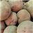 patatas rojas rudolph-detalle