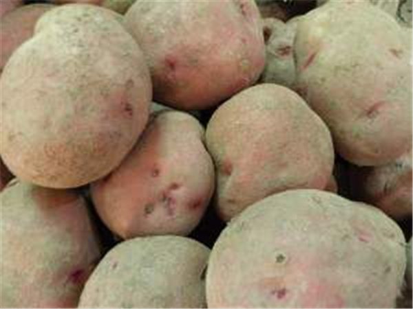 patatas rojas rudolph-detalle