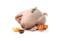Dinde entière fraîche (environ 6 kg)