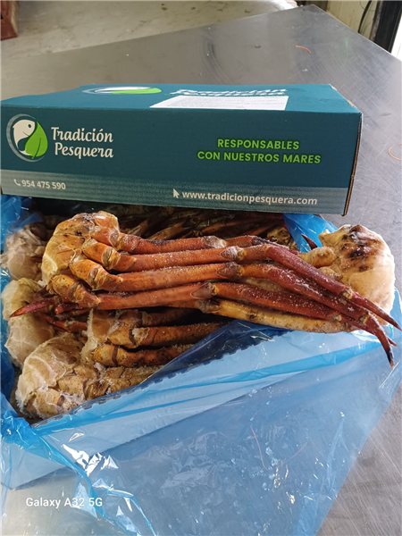 Poitrine / Cuisses L 1 kg (Réf. 120393)-lateral