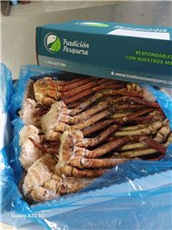 Breasts / Legs L 1 kg (Ref. 120393)