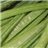 FEUILLES-detalle