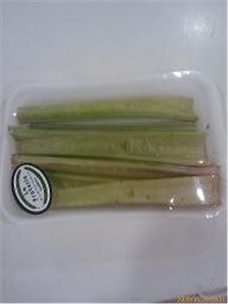 PENCAS ARREGLADAS-detalle