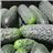 Cucumber-detalle