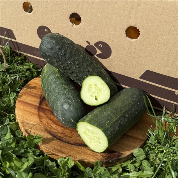 Cucumber-izquierda