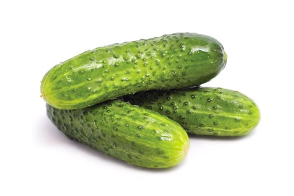 Cucumber-trasera