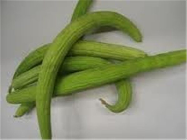 Alficoz Gurke-lateral