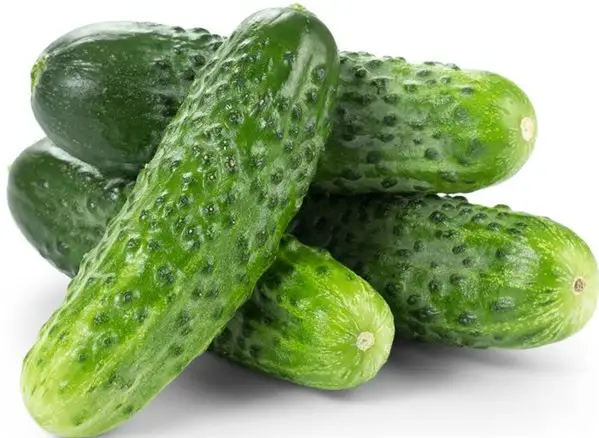 PEPINO DEL TERRENO