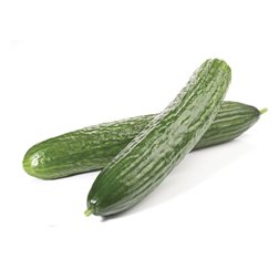 Niederländische Bio-Gurke - Einheit