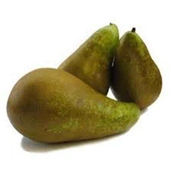 PEAR CONFERENCE-detalle