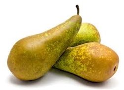 PEAR CONFERENCE