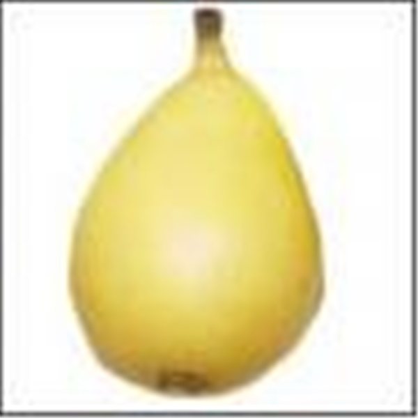 PERA ERCOLINA 4 Ud-detalle