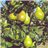 Poire Forelle-trasera