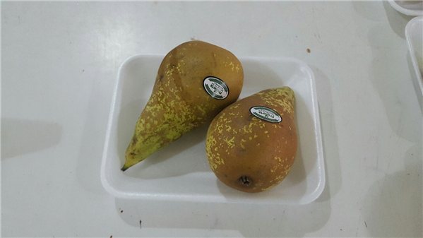 PICKNING PERA CONFERENCIA-detalle