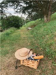 Picknick