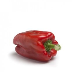 Pimiento rojo Lamuyo pieza