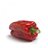 Pimiento rojo Lamuyo pieza