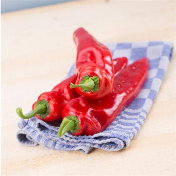 Poivron rouge Palermo Sweet 500g-detalle