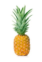 Airplane Pineapple