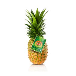 Ananas du Monte Gold Premium - unité