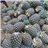 Pineapple (piece approximately 2kg)-lateral
