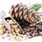 Natural Pine Nuts, Package of 100g-detalle