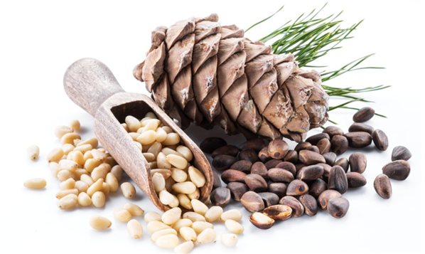 Natural Pine Nuts, Package of 100g-detalle