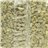 Organic Pumpkin Seeds Cucurbita 500g-lateral
