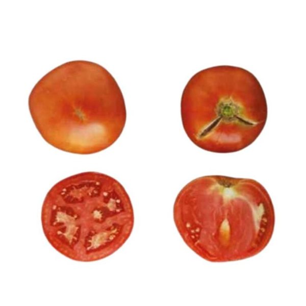 Tray of large Torrelaguna tomatoes-detalle