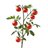 Moruno Tomato Plant Set from Patones