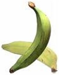BANANE PLANTAIN