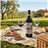 Poggio di Sotto Rosso di Montalcino 2022-detalle