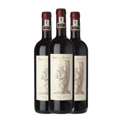 Pojer e Sandri Pinot Negro Vigneti delle Dolomiti 75 cl Vino Tinto (Caja de 3 unidades)