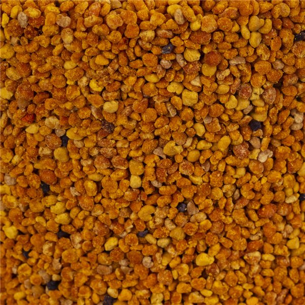 Trockener Bienenpollen in loser Schüttung - 2,2 kg.-lateral
