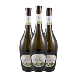 Presas Ocampo Tacoronte-Acentejo Joven 75 cl Vino Blanco (Caja de 3 unidades)