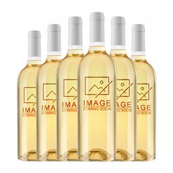 Primitivo Collantes Viña Matalián Palomino Fino Seco Jerez-Xérès-Sherry 75 cl Vino Blanco (Caja de 6 unidades)