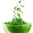 Bio-Erbsenprotein Regular | 80 % pflanzliches Protein | Ideal für Shakes, Backwaren und Mischungen | Samskara 1 kg-lateral