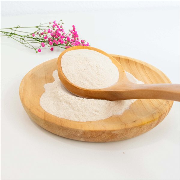 Psyllium en Polvo Ecológico - Fibra Soluble para el Estreñimiento-lateral