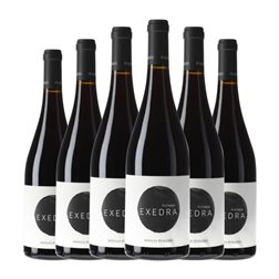 Puiggròs Exedra Garnacha Ánfora 75 cl Vino Tinto (Caja de 6 unidades)